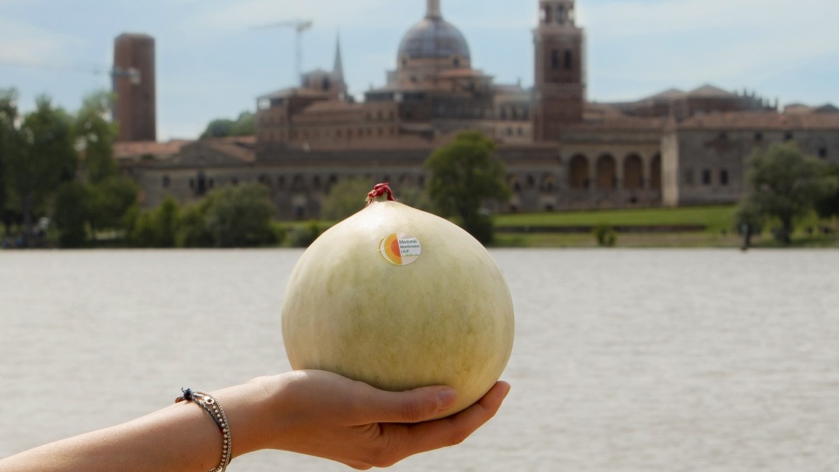 Melon montalvano con fondo bonito